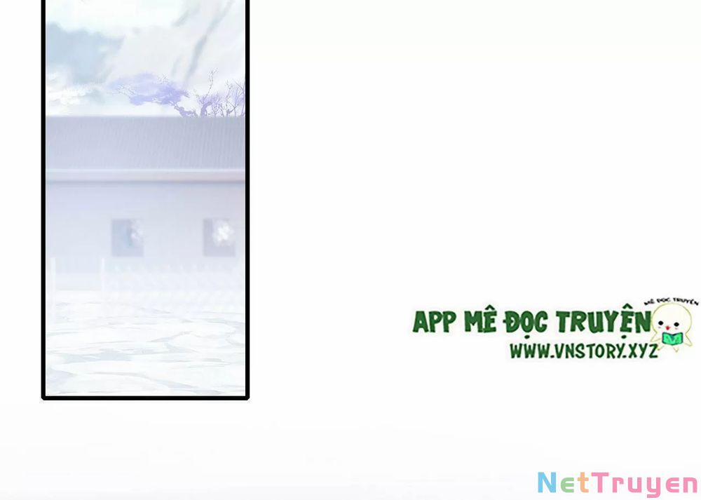 Lại Bị Bệnh Chiều Chuộng Quấn Lấy 0 Xa cách và gặp lại trang 17