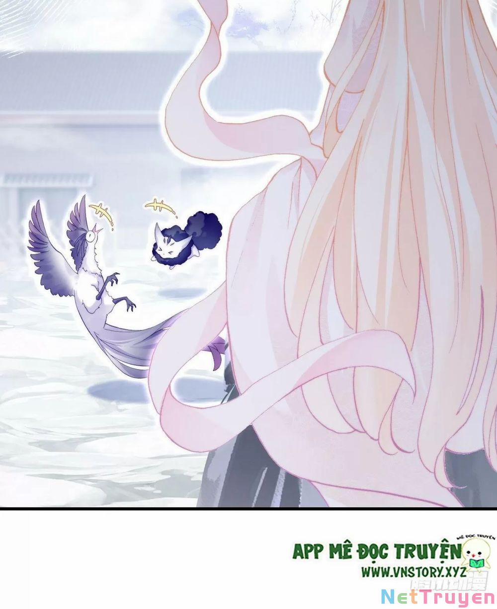 Lại Bị Bệnh Chiều Chuộng Quấn Lấy 0 Xa cách và gặp lại trang 23