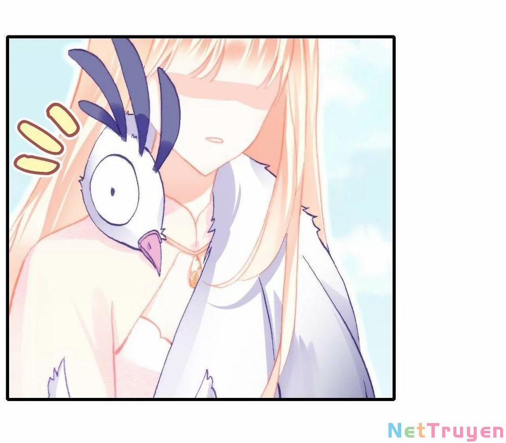 Lại Bị Bệnh Chiều Chuộng Quấn Lấy 0 Xa cách và gặp lại trang 41