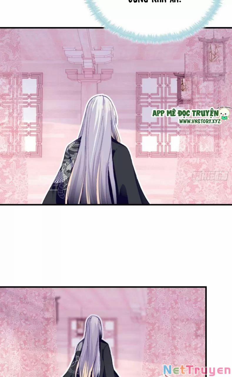 Lại Bị Bệnh Chiều Chuộng Quấn Lấy 27 trang 11