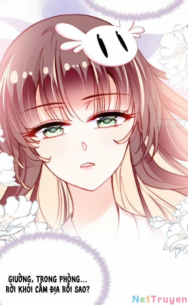 Lại Bị Bệnh Chiều Chuộng Quấn Lấy 27 trang 13