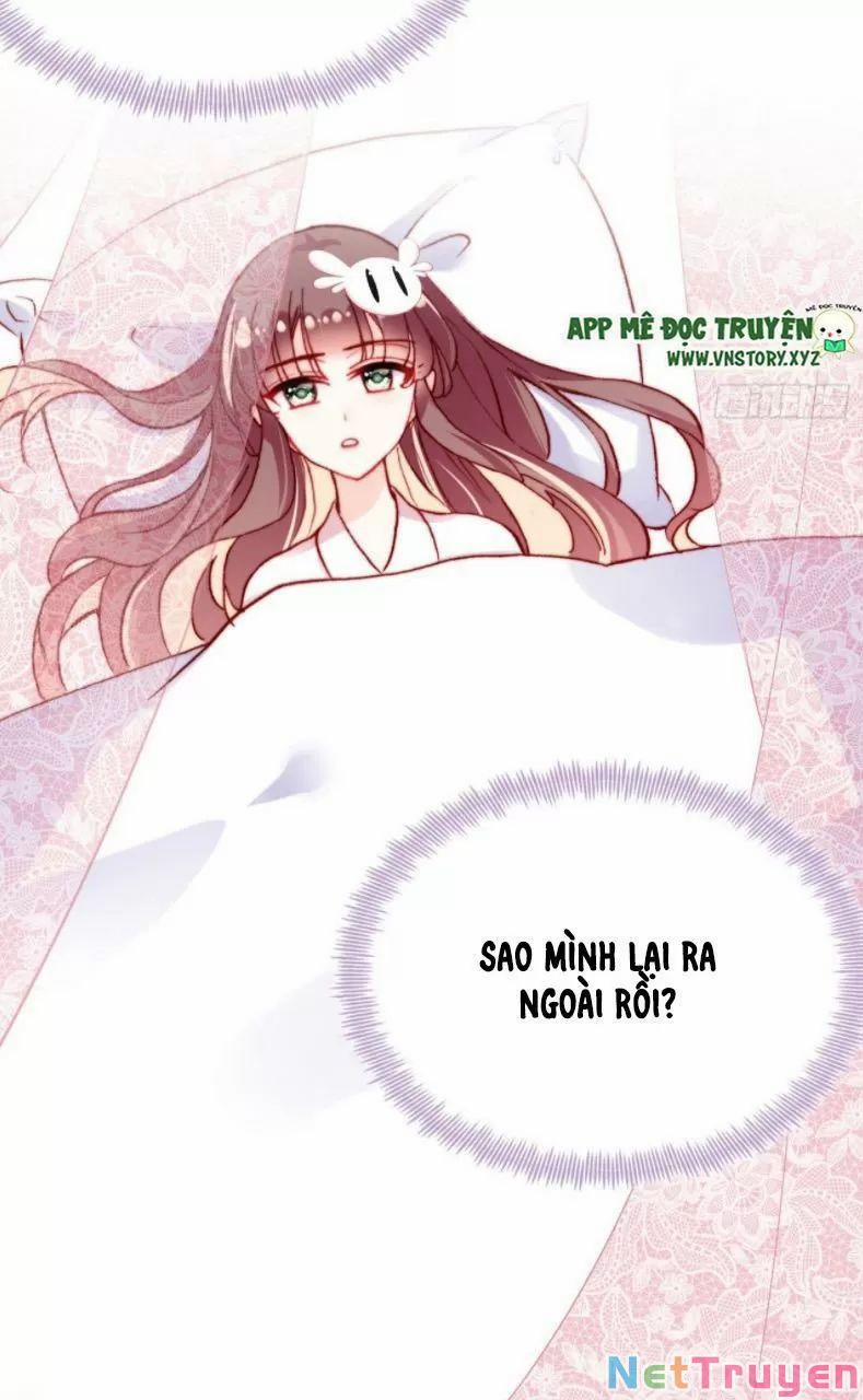 Lại Bị Bệnh Chiều Chuộng Quấn Lấy 27 trang 14