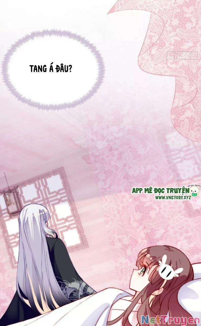 Lại Bị Bệnh Chiều Chuộng Quấn Lấy 27 trang 15