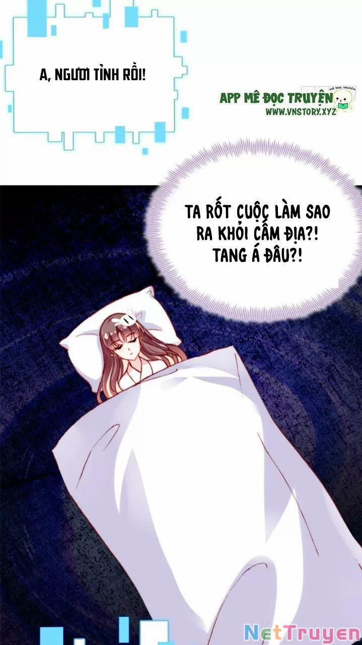 Lại Bị Bệnh Chiều Chuộng Quấn Lấy 27 trang 23