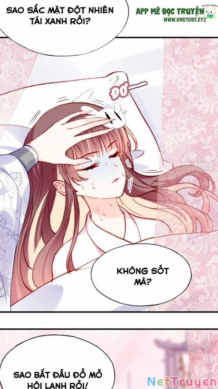 Lại Bị Bệnh Chiều Chuộng Quấn Lấy 27 trang 26