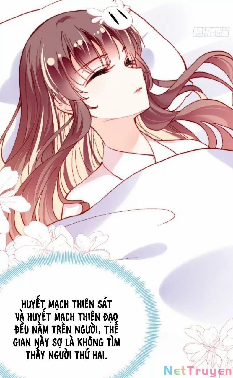 Lại Bị Bệnh Chiều Chuộng Quấn Lấy 27 trang 4