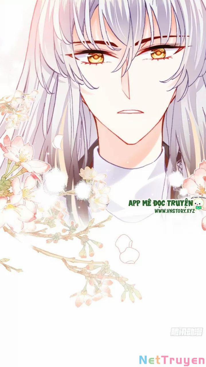 Lại Bị Bệnh Chiều Chuộng Quấn Lấy 27 trang 43