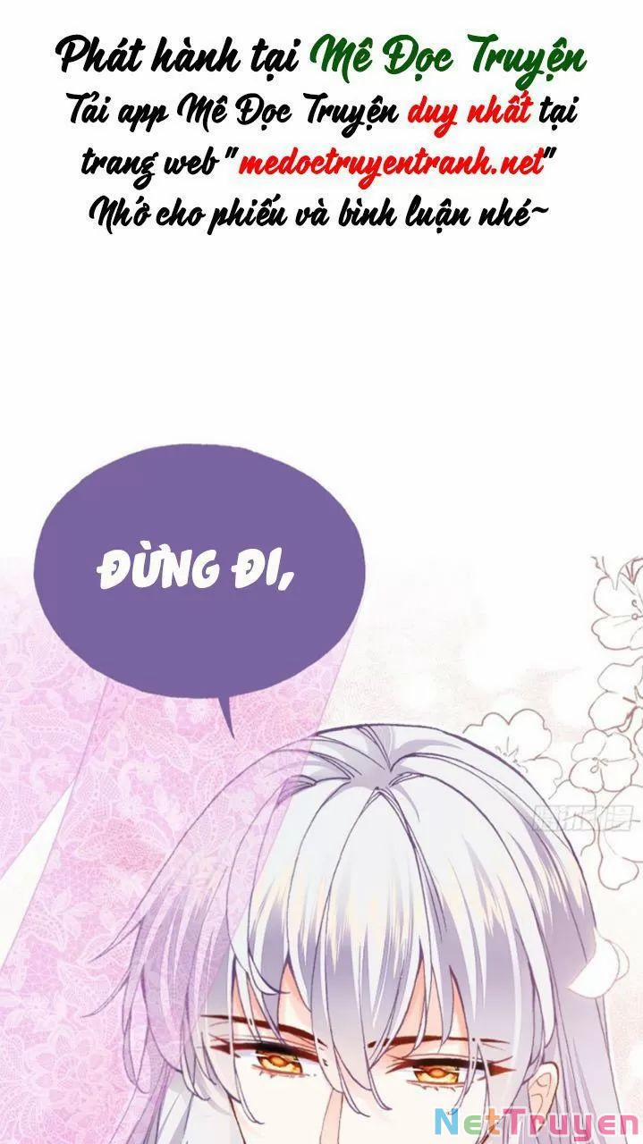 Lại Bị Bệnh Chiều Chuộng Quấn Lấy 27 trang 49