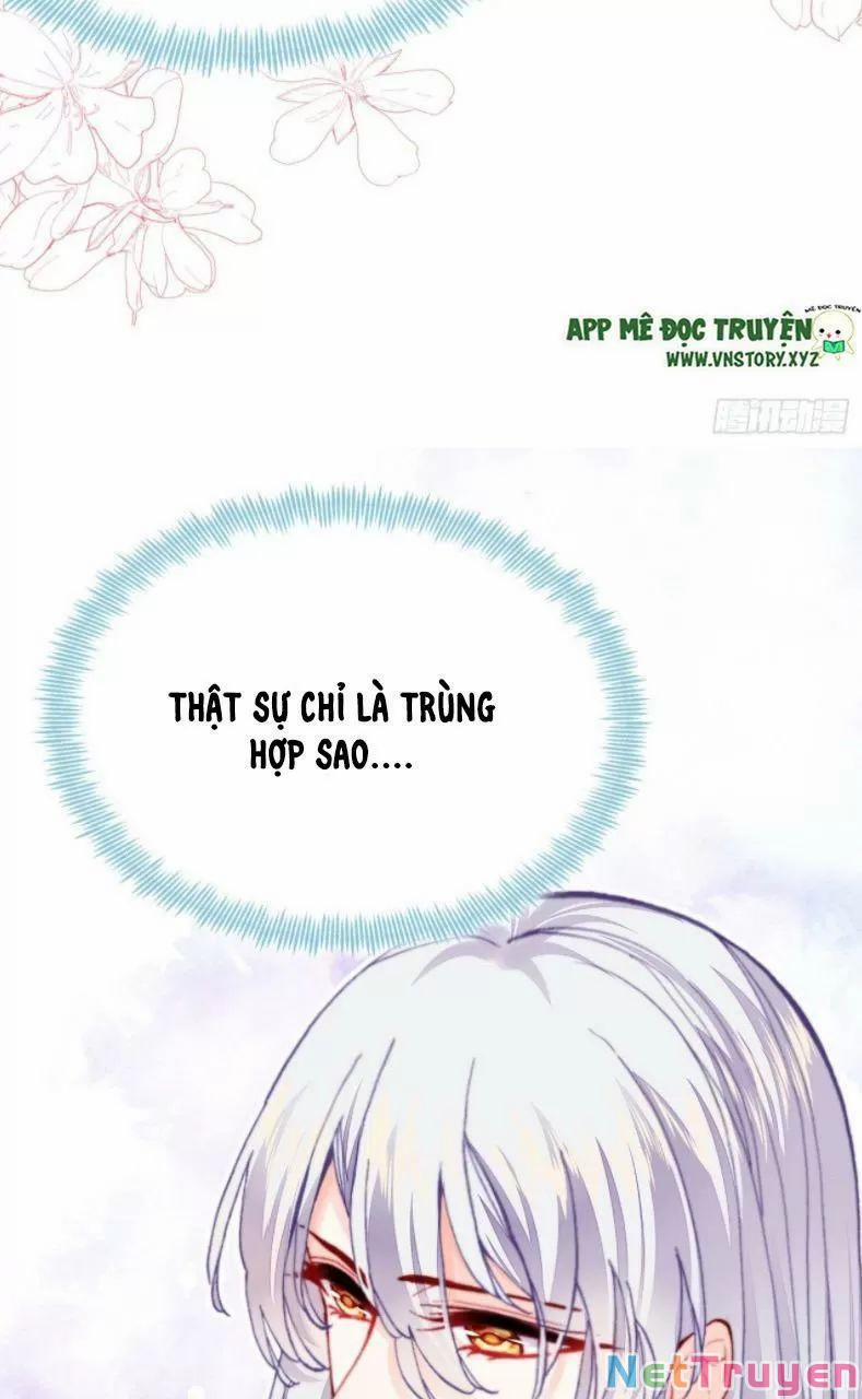 Lại Bị Bệnh Chiều Chuộng Quấn Lấy 27 trang 5