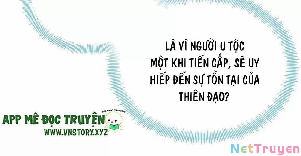 Lại Bị Bệnh Chiều Chuộng Quấn Lấy 73 trang 29