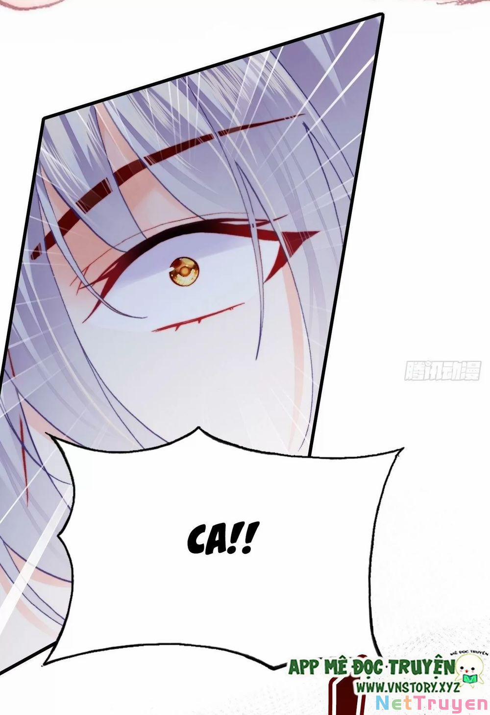 Lại Bị Bệnh Chiều Chuộng Quấn Lấy 73 trang 66