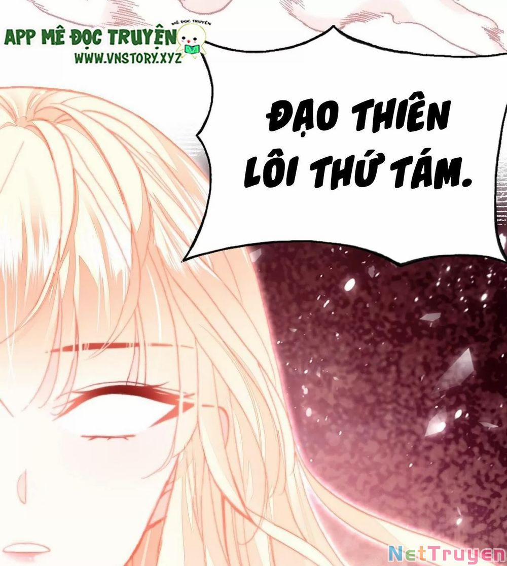 Lại Bị Bệnh Chiều Chuộng Quấn Lấy 73 trang 70