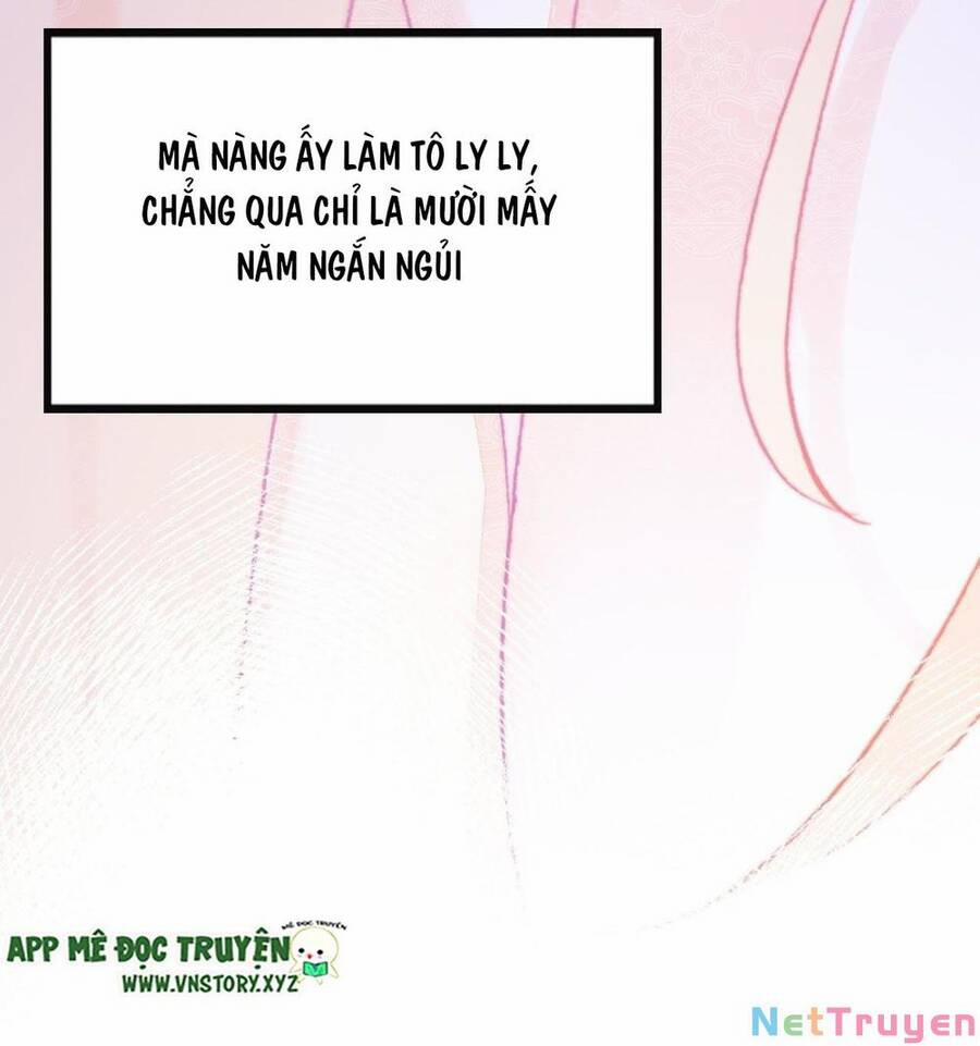 Lại Bị Bệnh Chiều Chuộng Quấn Lấy 77 trang 28