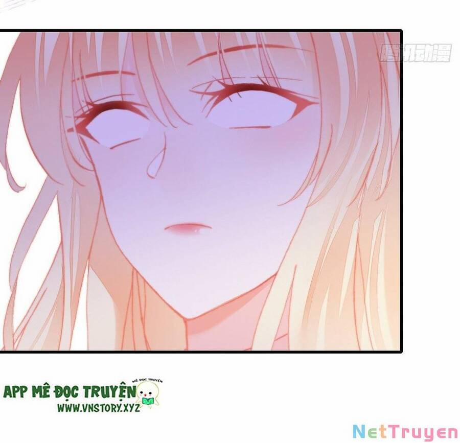 Lại Bị Bệnh Chiều Chuộng Quấn Lấy 77 trang 31