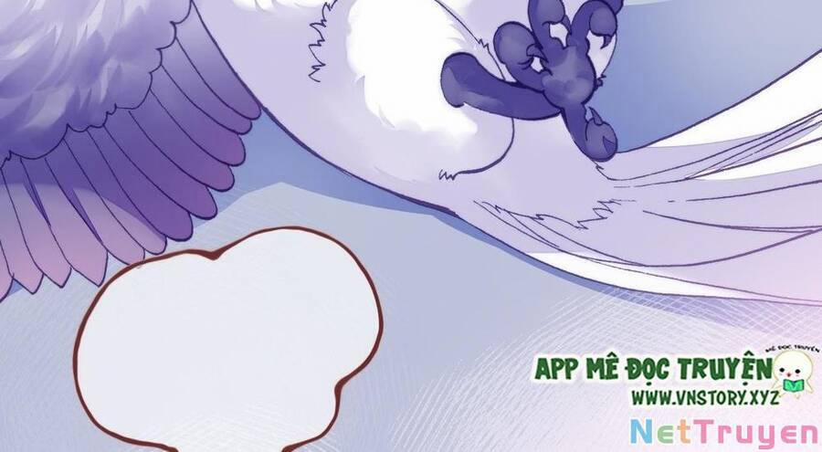 Lại Bị Bệnh Chiều Chuộng Quấn Lấy 77 trang 55