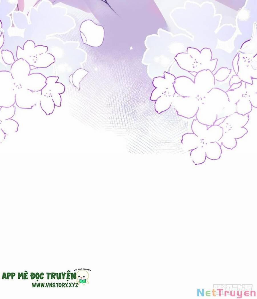 Lại Bị Bệnh Chiều Chuộng Quấn Lấy 77 trang 60