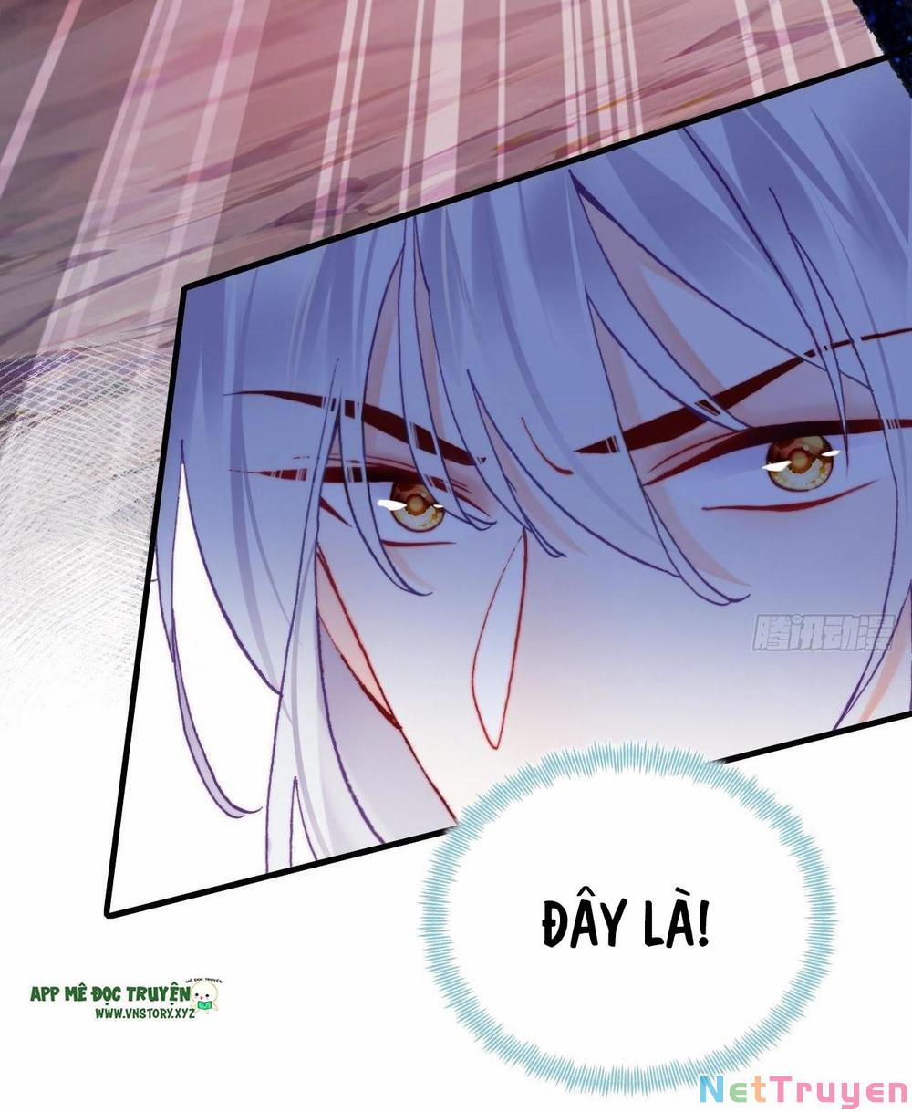 Lại Bị Bệnh Chiều Chuộng Quấn Lấy 81 trang 11