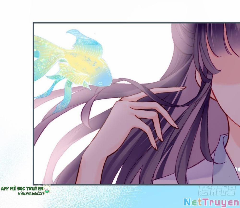 Lại Bị Bệnh Chiều Chuộng Quấn Lấy 81 trang 47