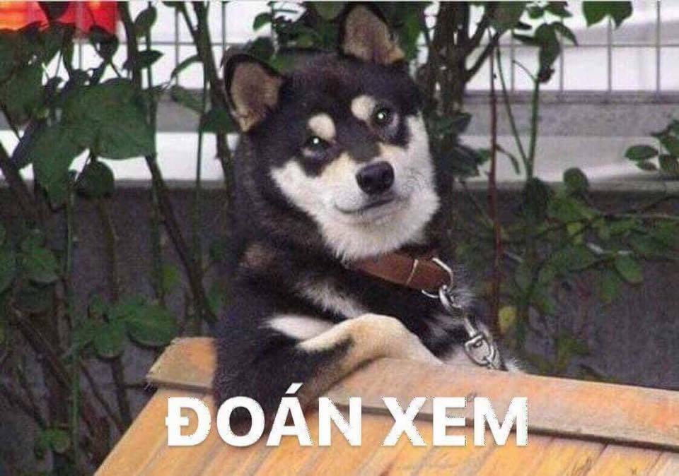 Làm Thế Nào Để Trở Thành Quỷ Vương 28 trang 12