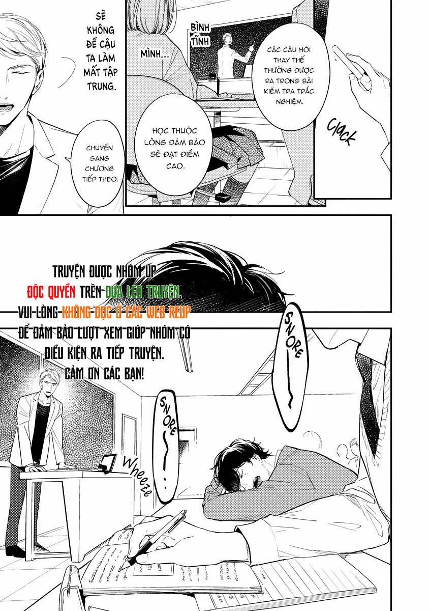 Lần Đầu Cúc Được Nở Hoa Sau 8 Năm 2 trang 12