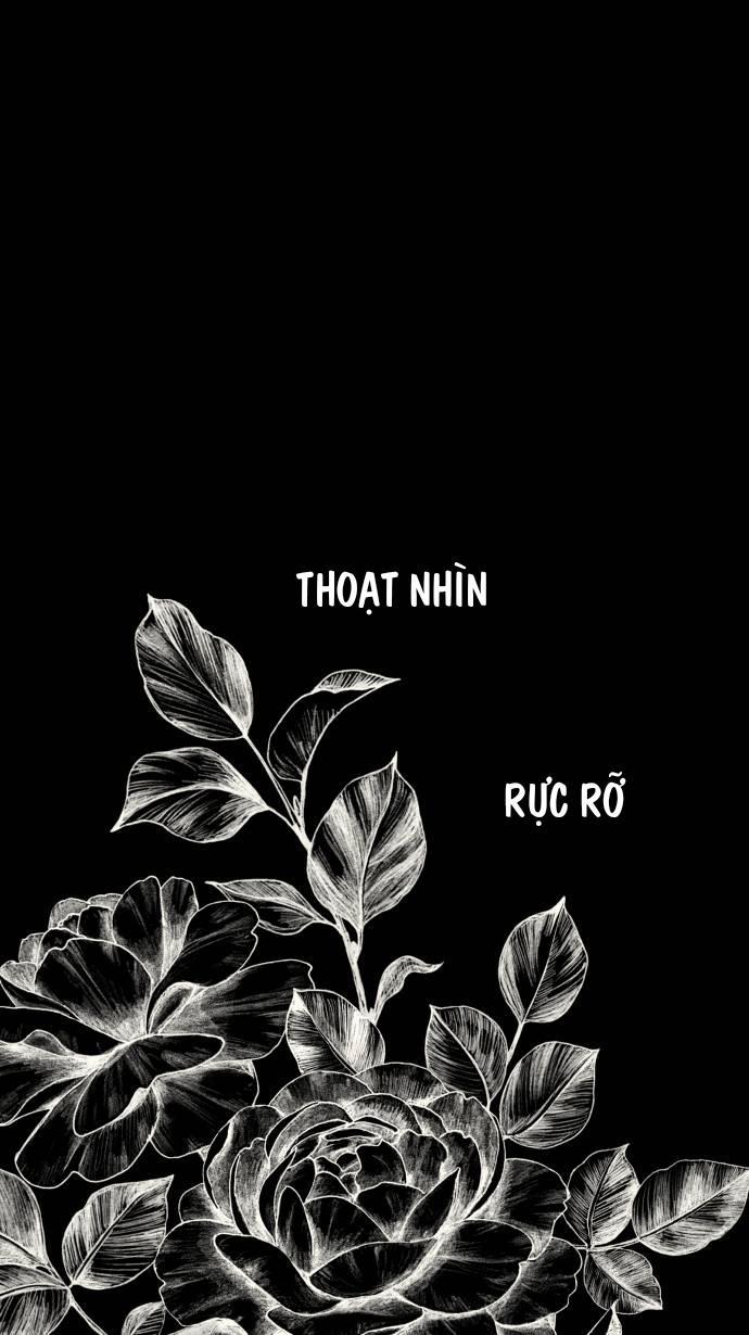 Lặng Lẽ Ngắm Nhìn Em 0 trang 0