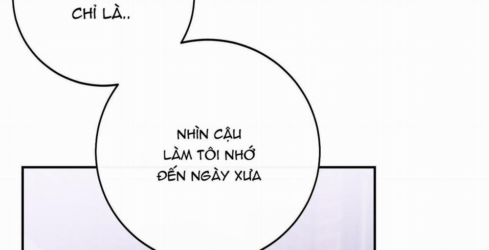 Lãng Mạn Giả Dối 10 trang 252