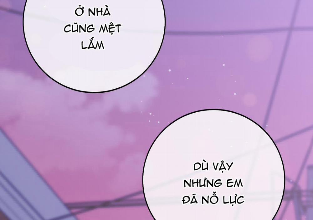 Lãng Mạn Giả Dối 10 trang 270