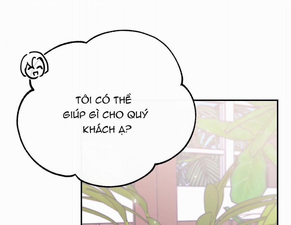 Lãng Mạn Giả Dối 12 trang 51