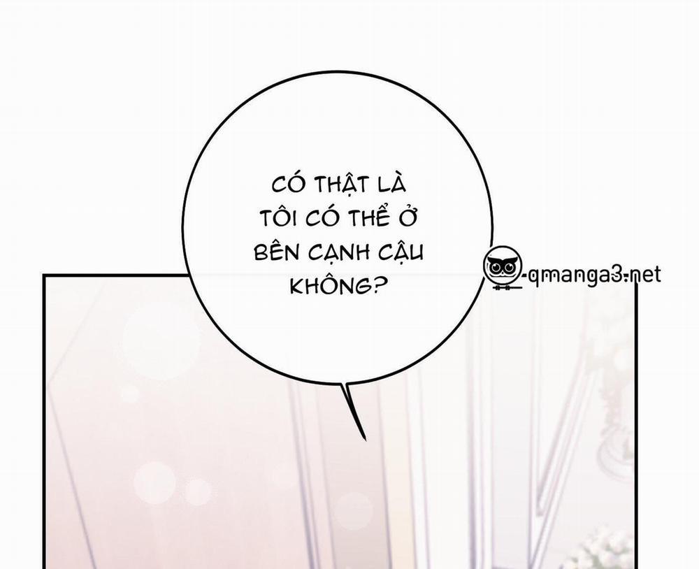 Lãng Mạn Giả Dối 21 trang 8