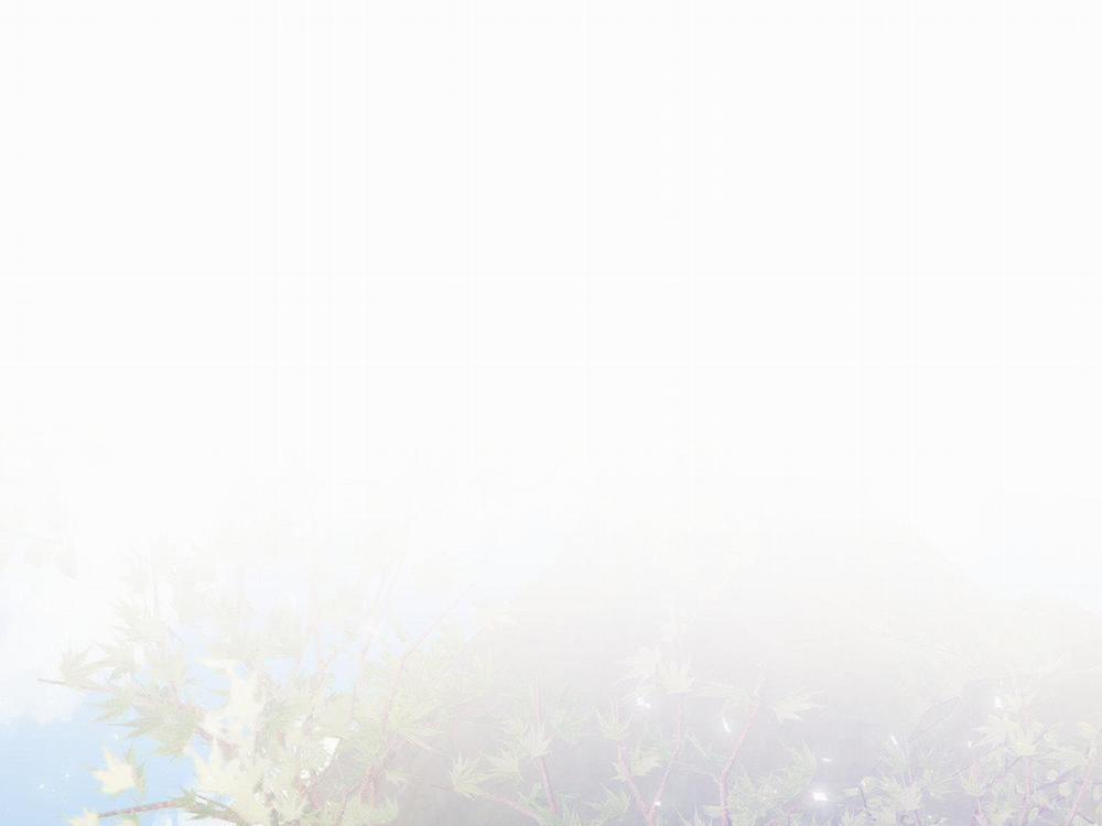 Lãng Mạn Giả Dối 23 trang 1