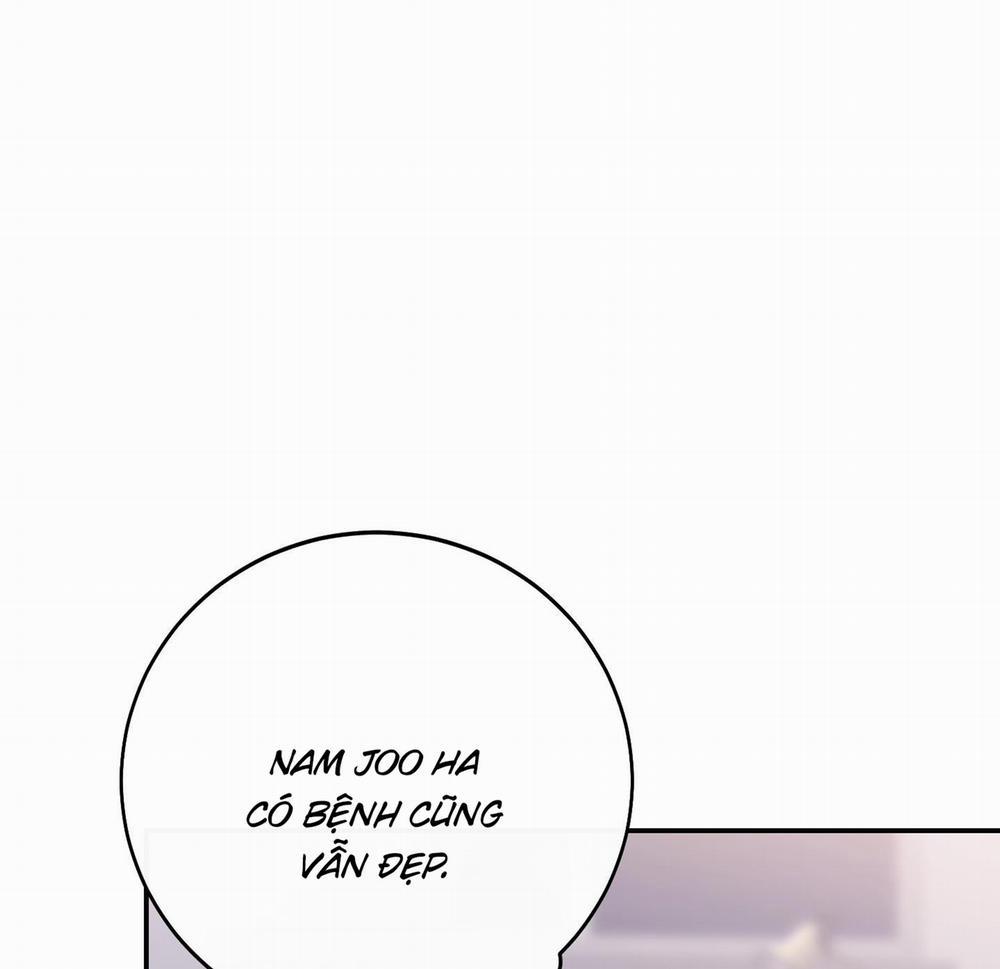 Lãng Mạn Giả Dối 25 trang 133