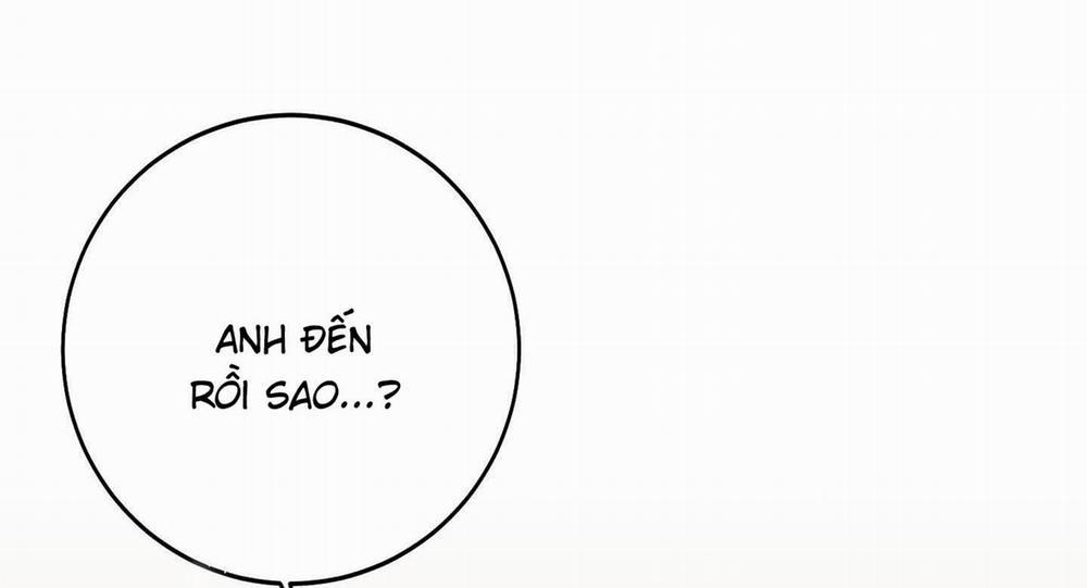 Lãng Mạn Giả Dối 26 trang 71