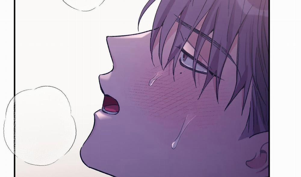 Lãng Mạn Giả Dối 27 trang 256