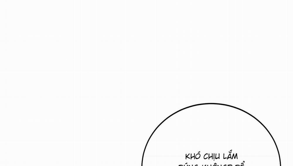 Lãng Mạn Giả Dối 27 trang 45