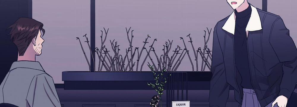 Lãng Mạn Giả Dối 31 trang 234