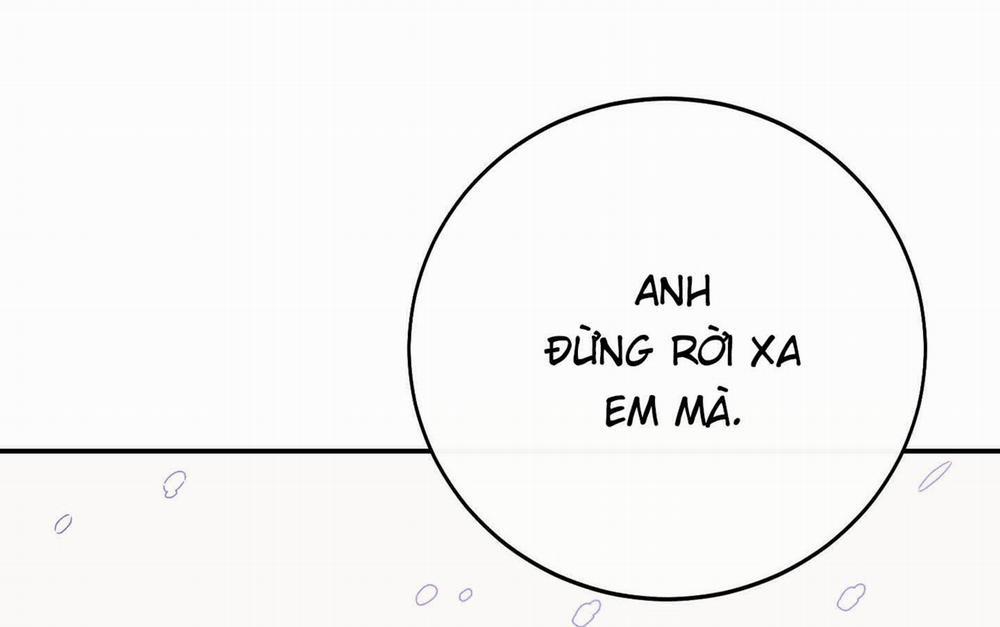 Lãng Mạn Giả Dối 35 trang 31