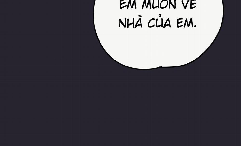 Lãng Mạn Giả Dối 36 trang 242