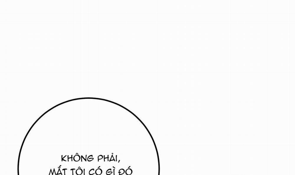 Lãng Mạn Giả Dối 4 trang 238