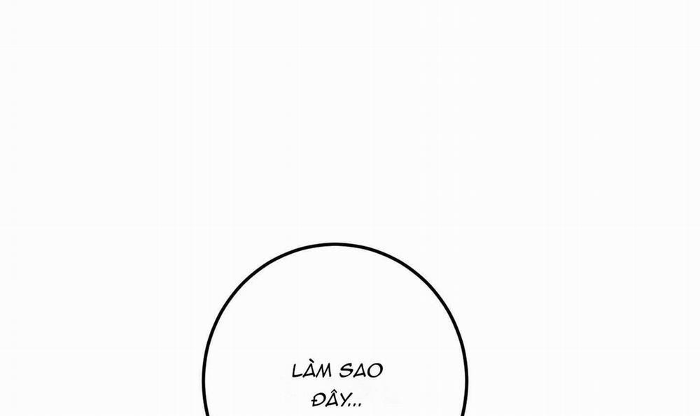 Lãng Mạn Giả Dối 4 trang 98