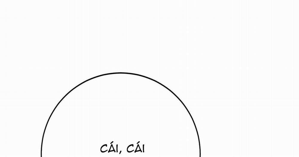 Lãng Mạn Giả Dối 6 trang 226