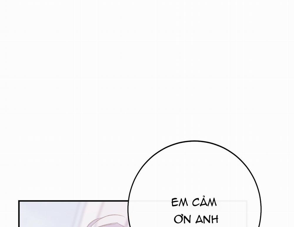 Lãng Mạn Giả Dối 8 trang 164