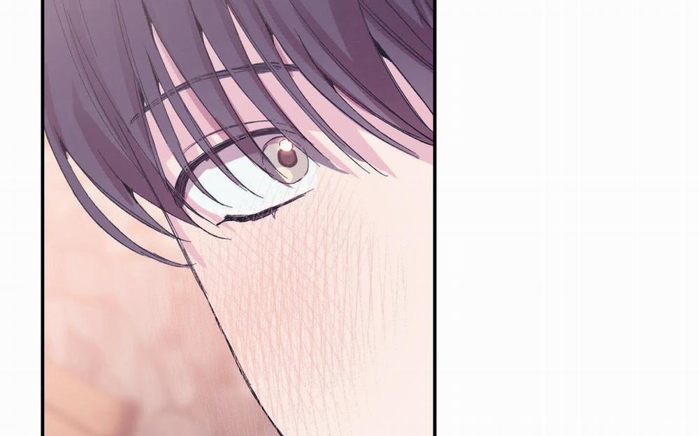 Lãng Mạn Giả Dối 9 trang 205