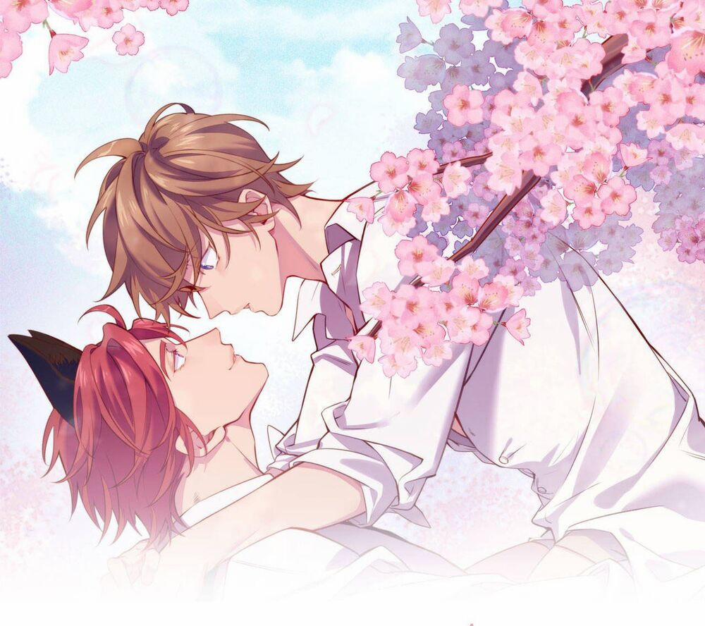 Lang Quân, Xin Đừng…! 74 trang 0