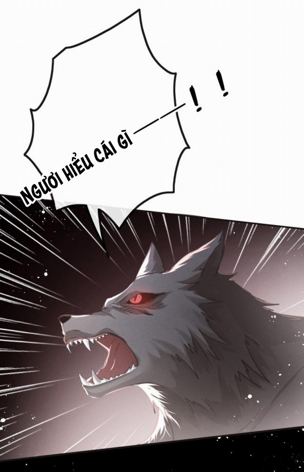 Lang Sói Thượng Khẩu 10.2 trang 0