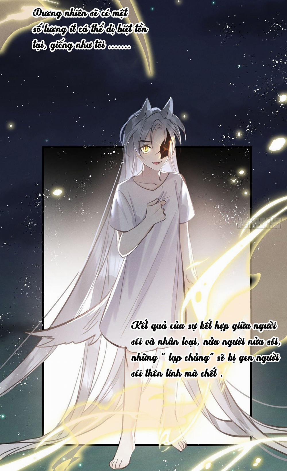 Lang Sói Thượng Khẩu 14 trang 22
