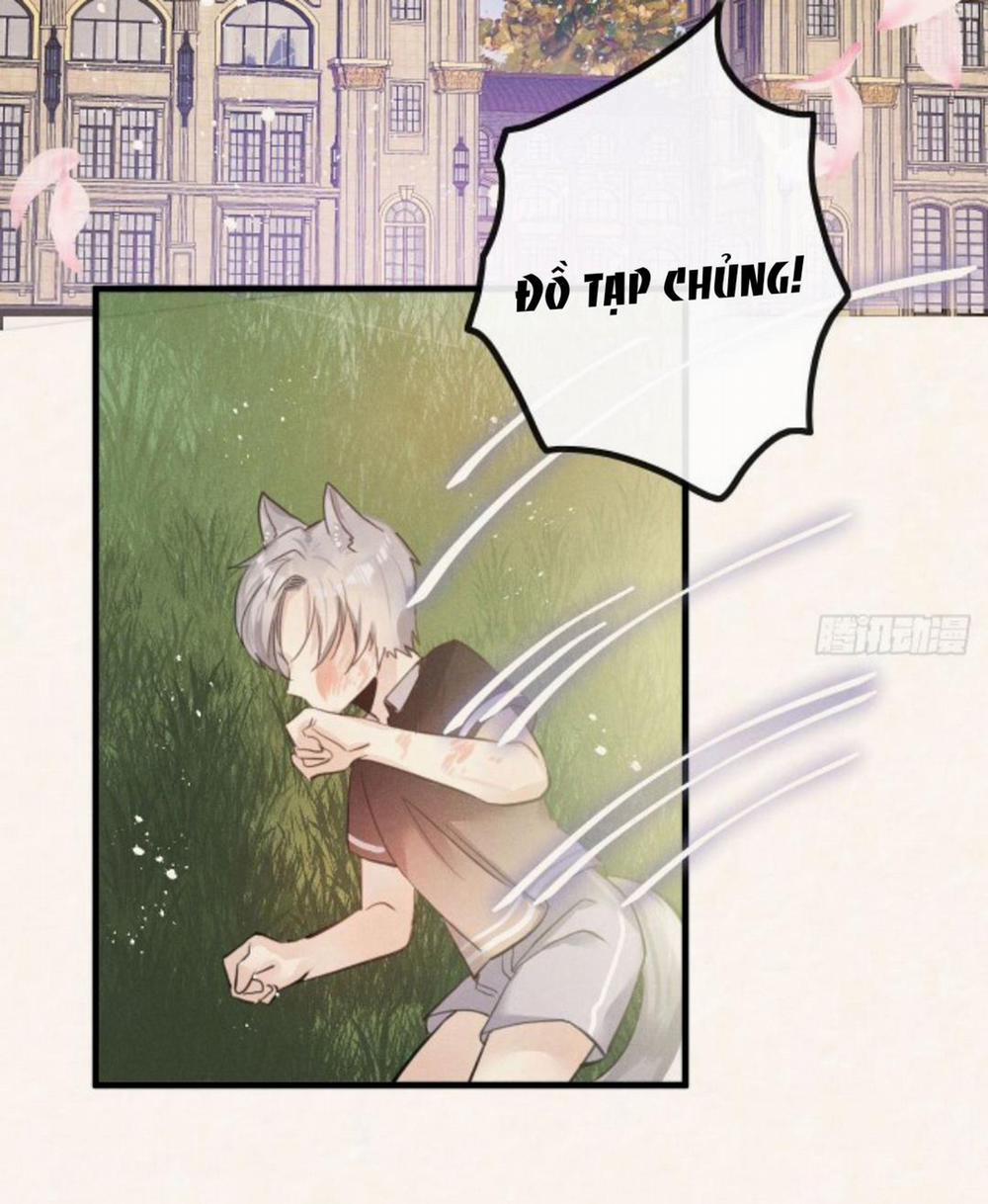 Lang Sói Thượng Khẩu 16 trang 24