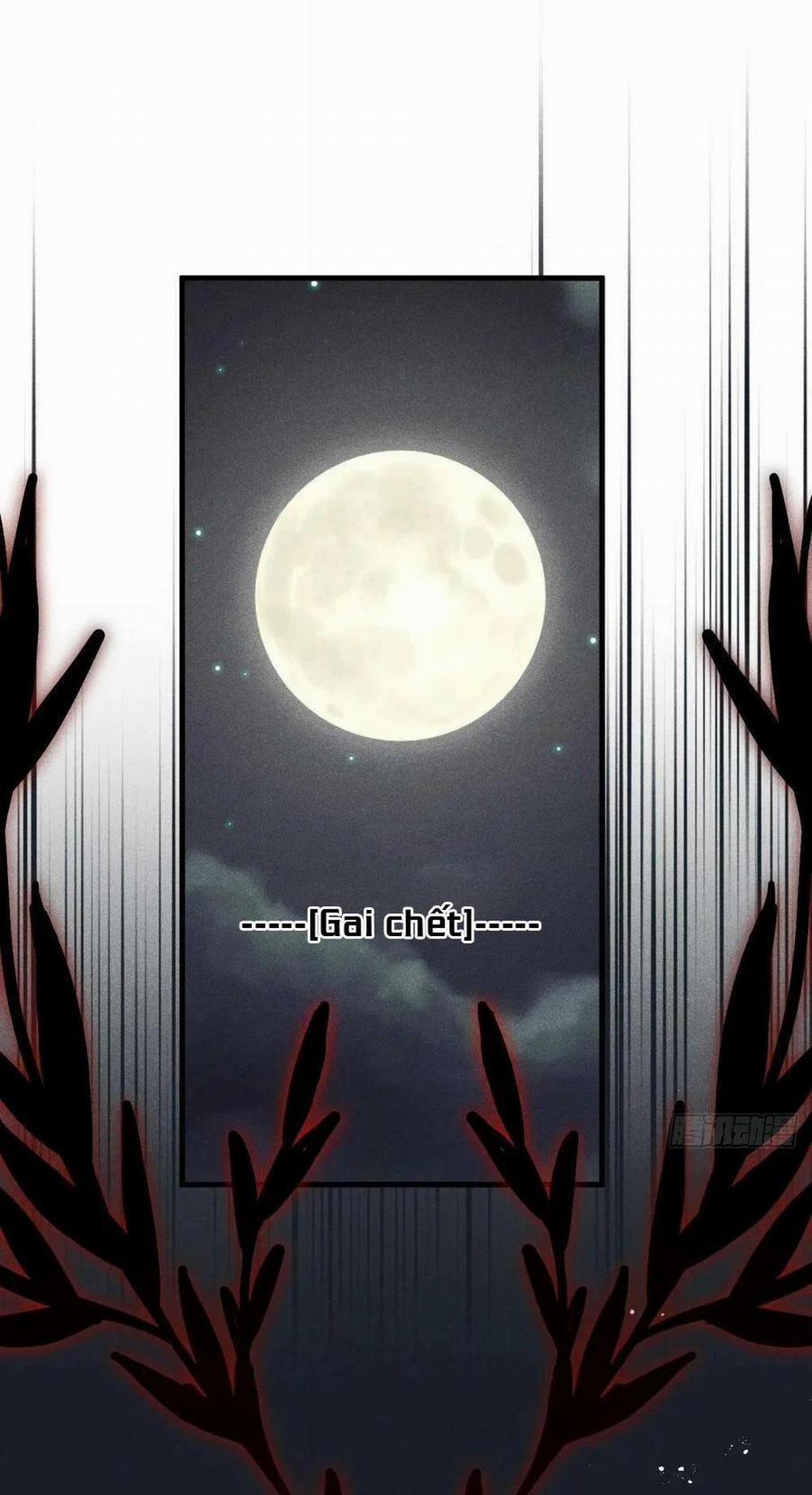 Lang Sói Thượng Khẩu 40 trang 0