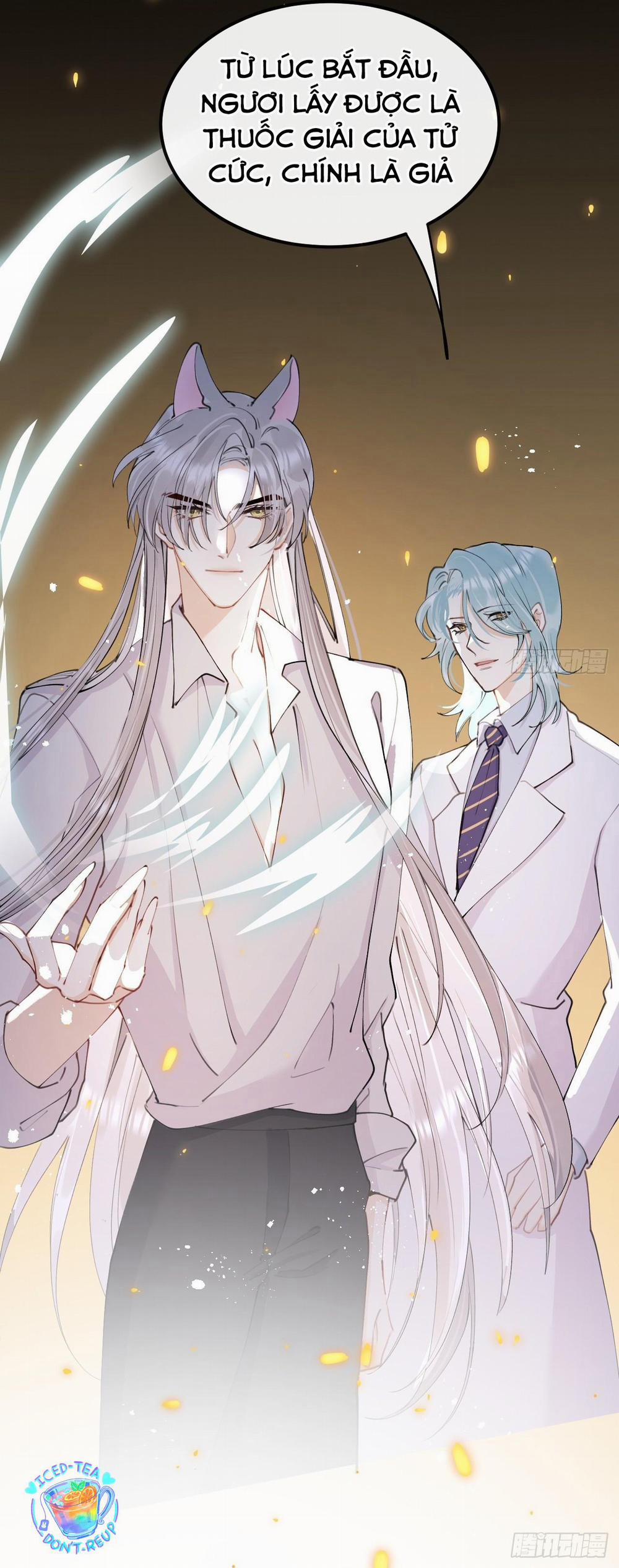 Lang Sói Thượng Khẩu 81 trang 42