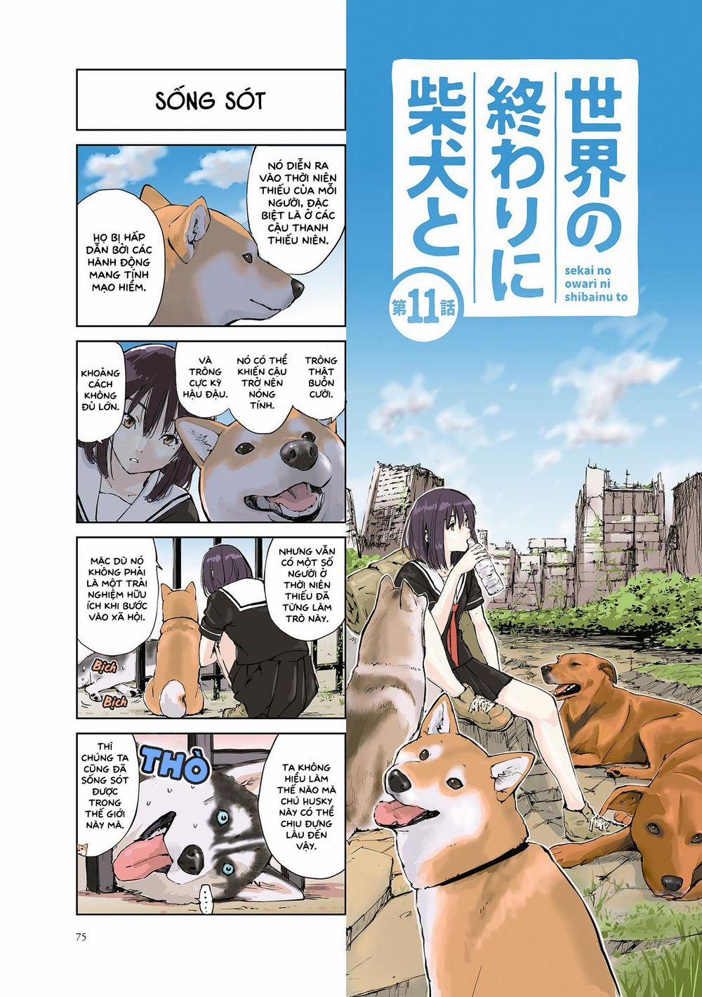 Lang Thang Miền Tận Thế Với Chú Chó Shiba Của Tôi 11 trang 0