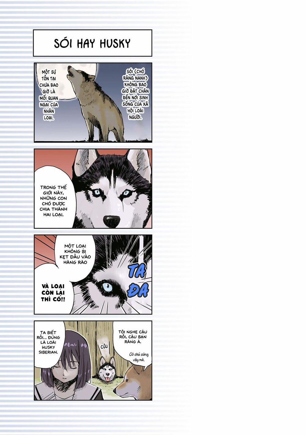 Lang Thang Miền Tận Thế Với Chú Chó Shiba Của Tôi 11 trang 6